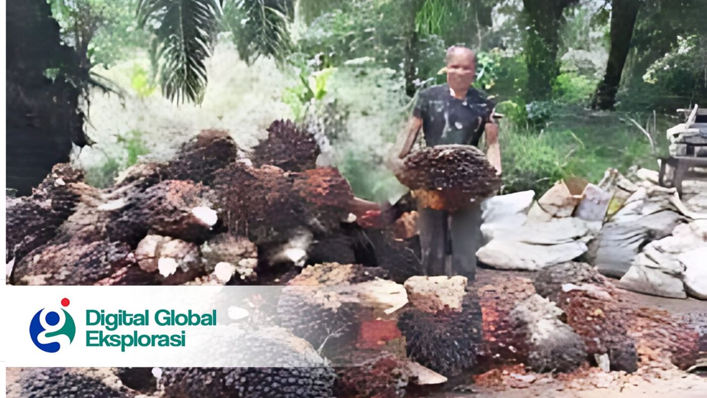 Pabrik Penghasil Oil Palms Mentah di Kalimantan, Ini Detail Alamatnya