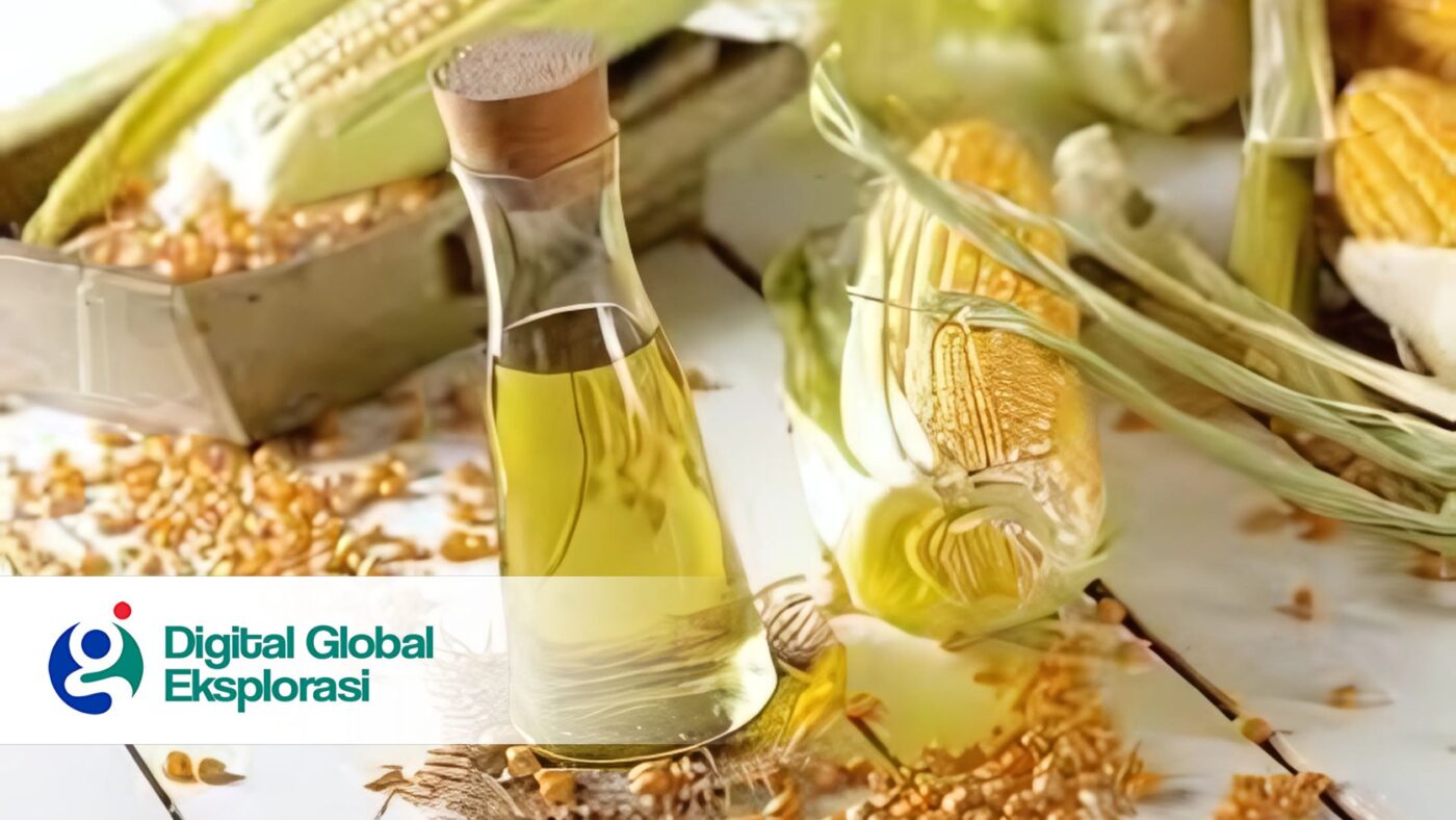 Berapa Kilo Jagung Untuk Bisa Dijadikan Minyak Jagung 1 Liter, Ini Perbandingannya