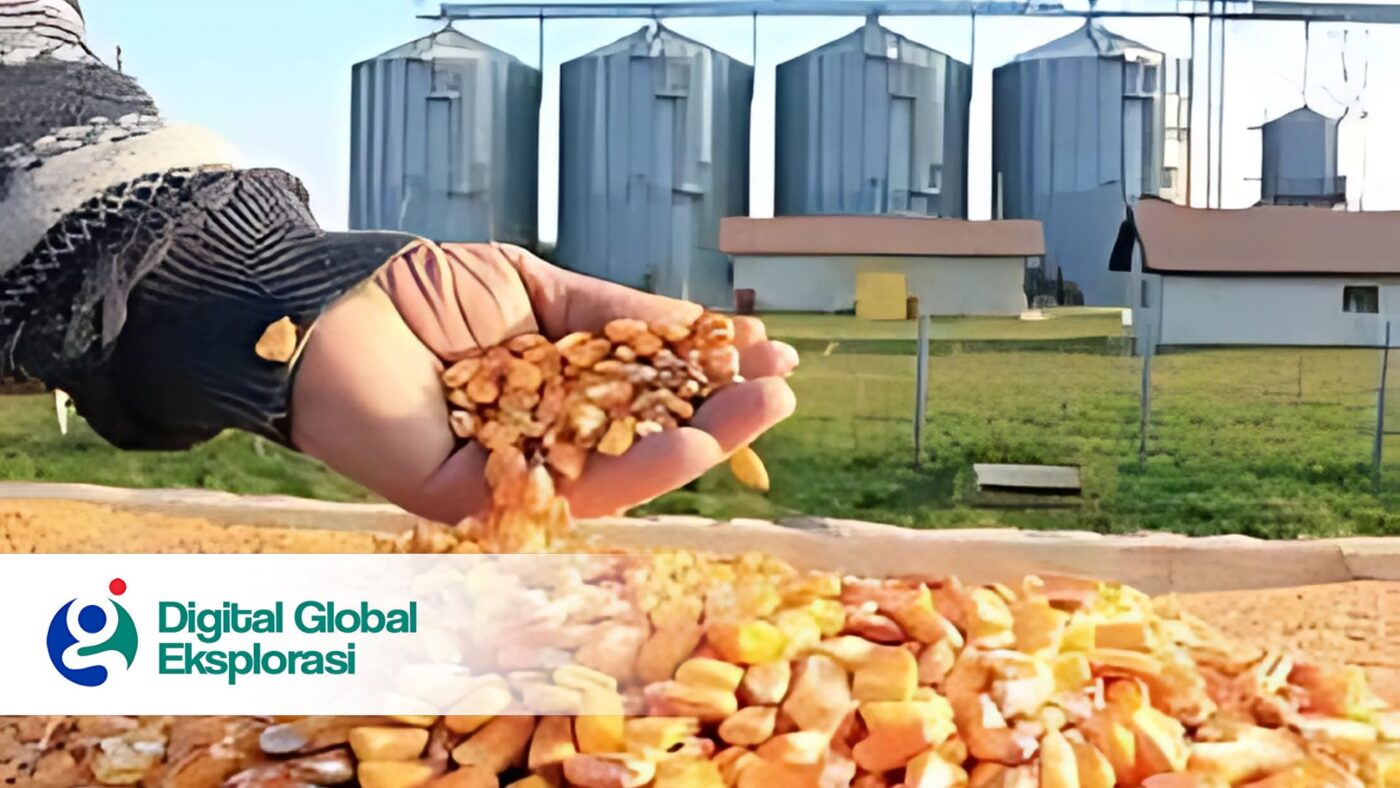 Pabrik Penghasil Minyak Jagung Mentah Yang Ada di Indonesia, Ini Penghasilnya